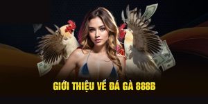 Đá gà 888B - Chơi hay không thể bỏ lỡ