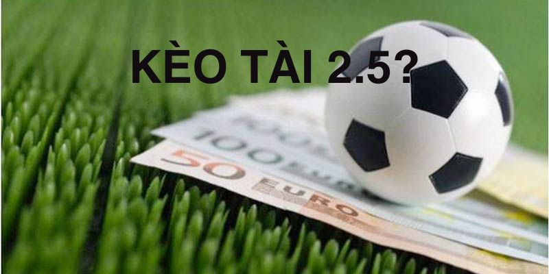 Kết quả cược cửa tài 2.5