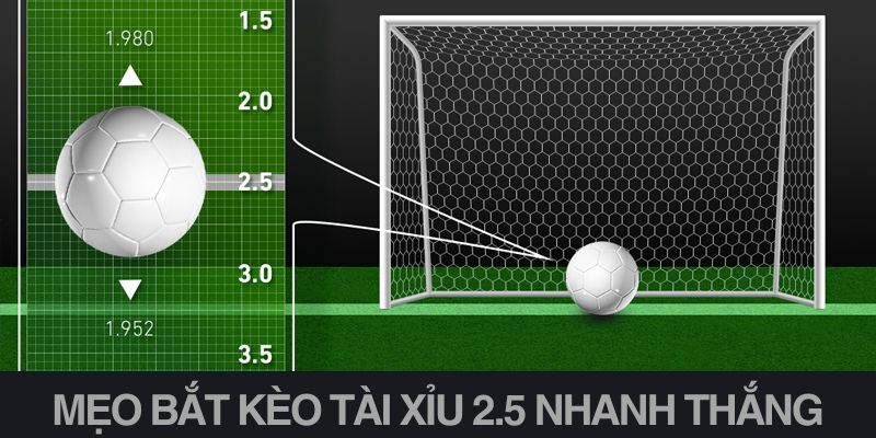 Mẹo bắt kèo tài xỉu 2.5 nhanh thắng